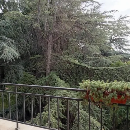 студио аглая