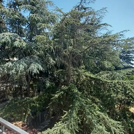 студио аглая Apartament *