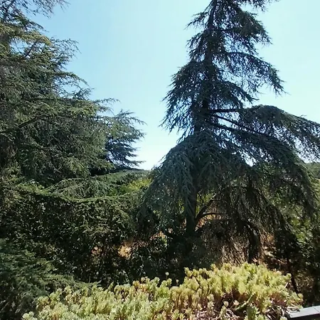 студио аглая Varna